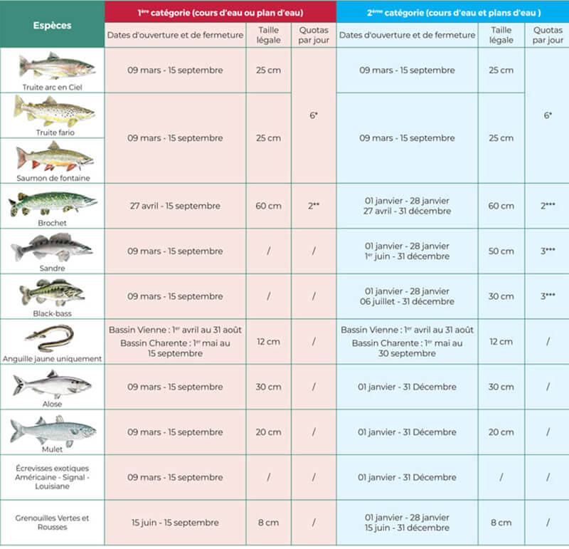 tableau des périodes de pêche de chaque espèce