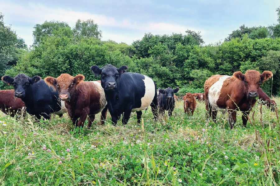 Ferme des Chantouroux